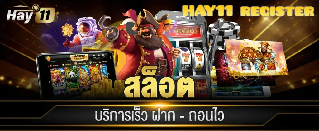 HAY11 register